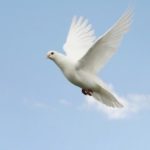 Pentecost-the dove, the flame and the higher Self