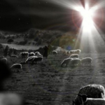 One night in Bethlehem- a meditation for Christmas Eve