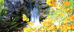 Rockery waterfall with flowers
