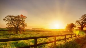 sunrise over a field